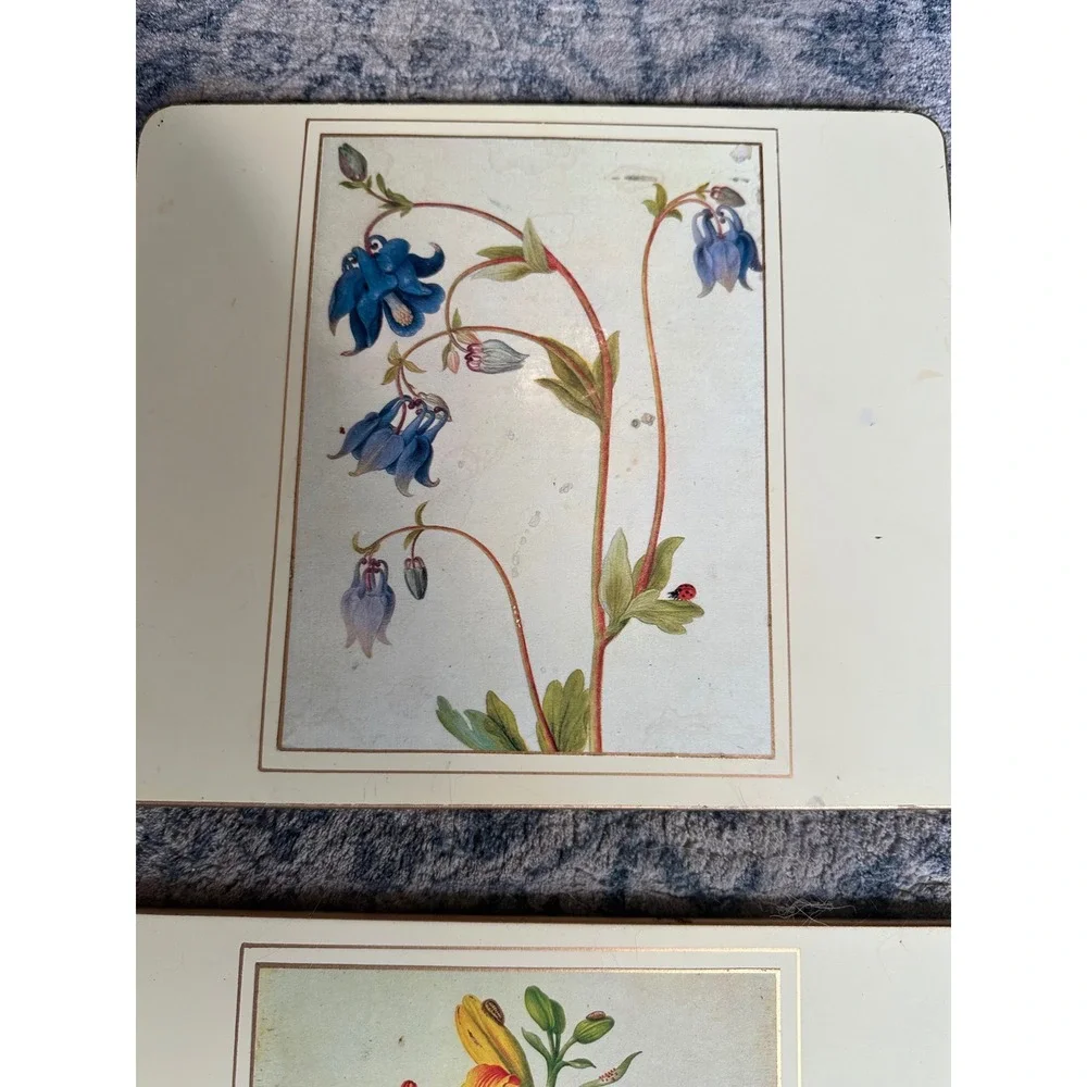 Lady Clare Placemats Set of 4 Vintage Botanical Floral Made in England Gold Edge